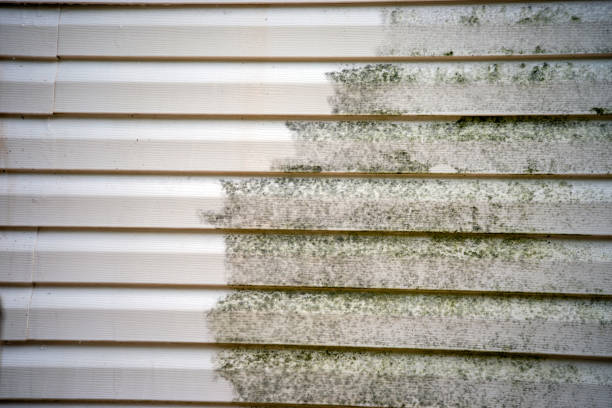 Affordable siding repair and maintenance services in Stewartville, AL